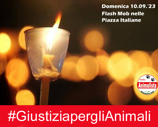 Partito Animalista Italiano. 10 settembre Fiaccolata e Flash Mob in tutta Italia